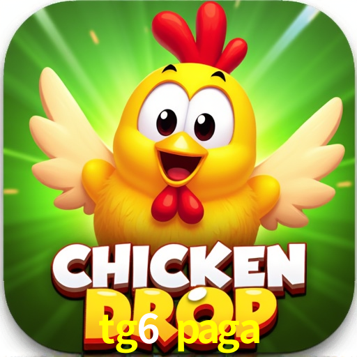 Experiência VIP tg6 paga