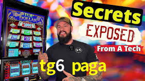 Programa VIP tg6 paga