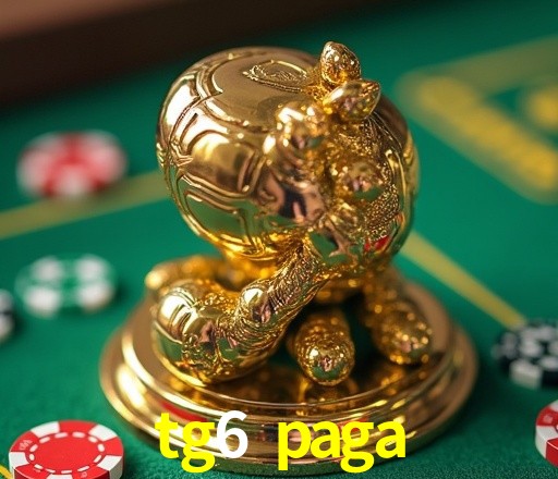 Design Responsivo tg6 paga